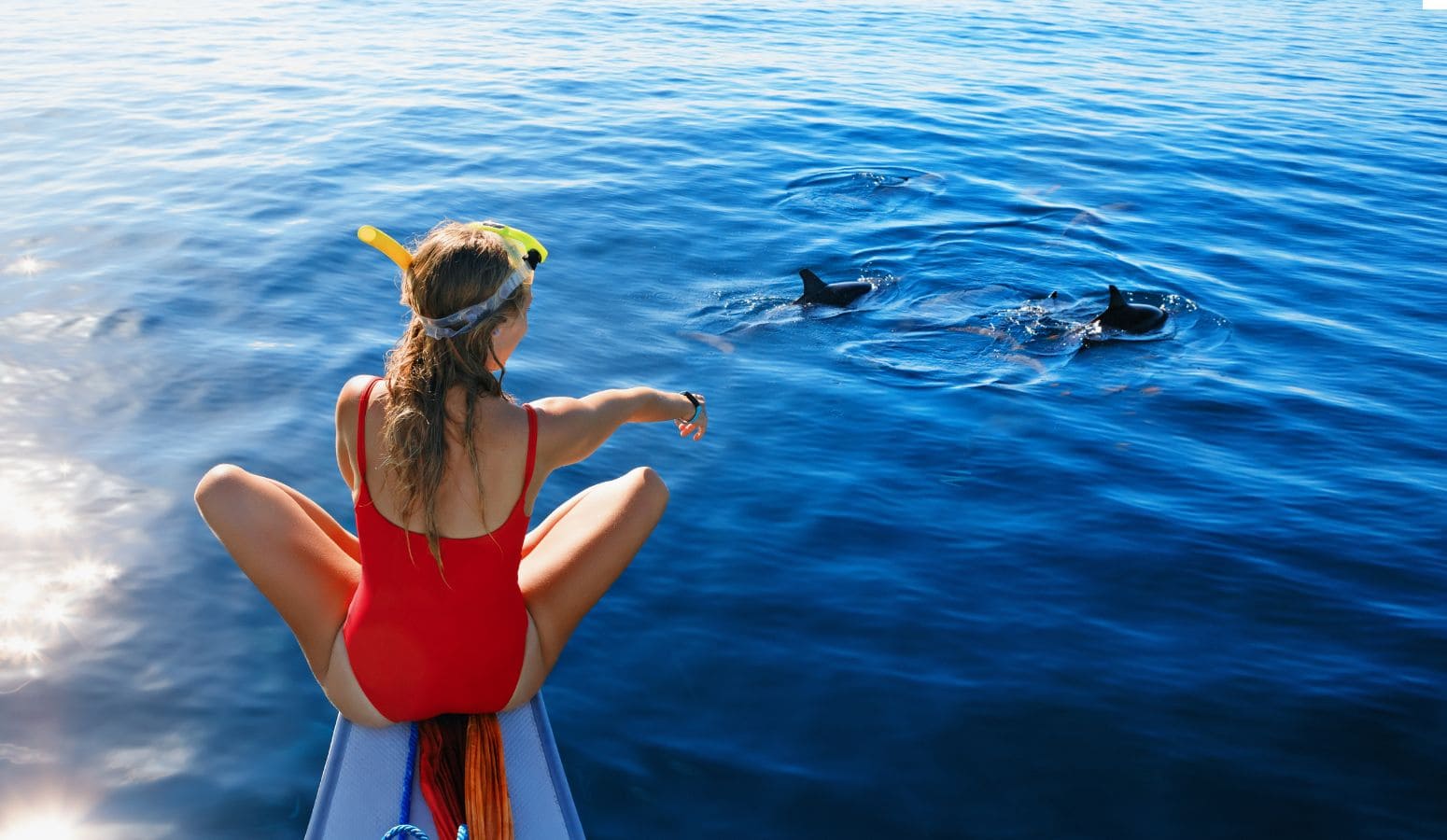 delfines viaje catamaran gran canaria